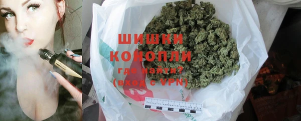крисы Корсаков