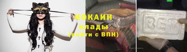 крисы Корсаков