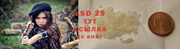 крисы Корсаков