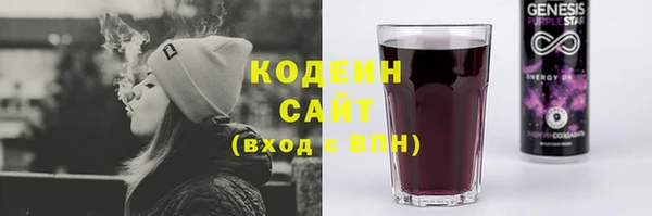 крисы Корсаков