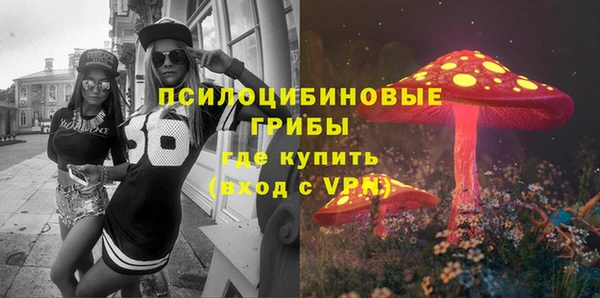 крисы Корсаков