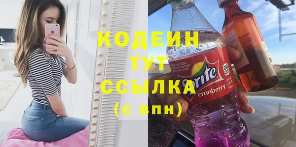 крисы Корсаков
