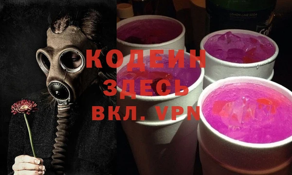 крисы Корсаков