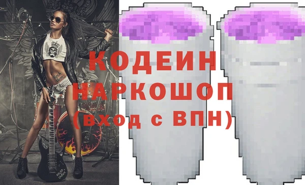 крисы Корсаков