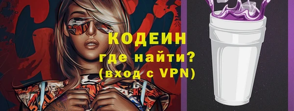 крисы Корсаков