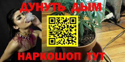 a pvp Заводоуковск